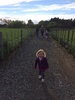First stop on our tour to Auckland. Ohakune and we checked out the playground and its developments and a path to our village with nan and grandad.